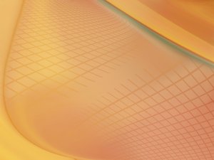 家常菜选购：如何辨别假八角？